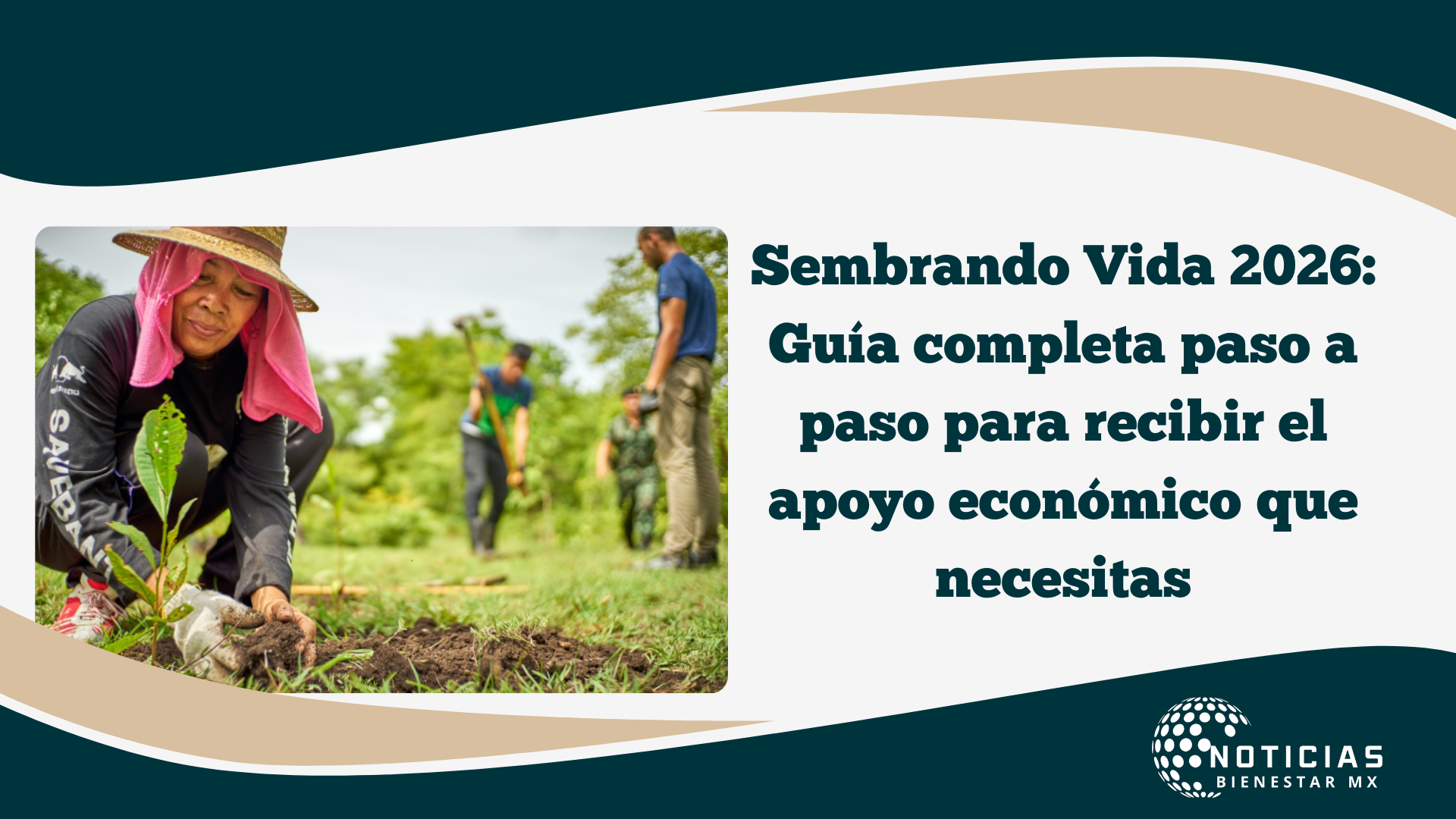 Sembrando Vida 2026: Guía completa paso a paso para recibir el apoyo económico que necesitas